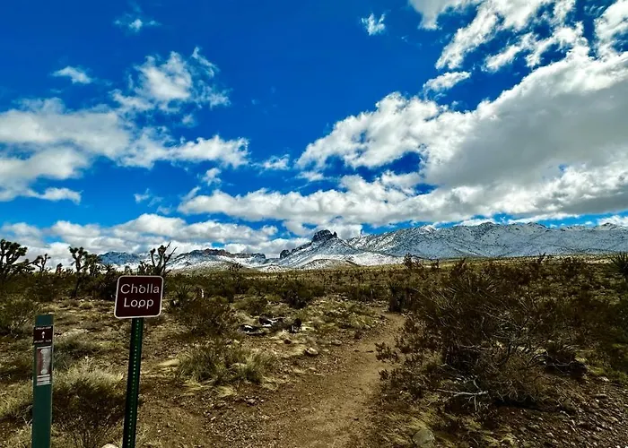 The Hub - Glamping - Grand Canyon West